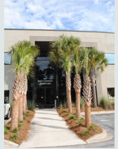 hormone replacement therapy center charleston sc hormone replacement therapy center charleston sc
